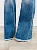 Judy Blue Yes Please! Mid-Rise Jeans (Reg. & Plus)