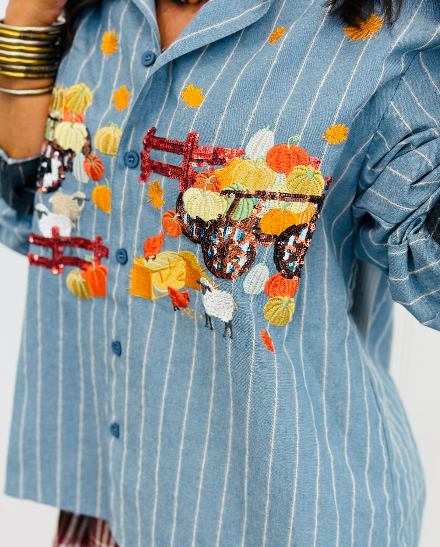 Queen Of Sparkles Denim Striped Pumpkin Farm Button Up Top (Reg. and Plus)