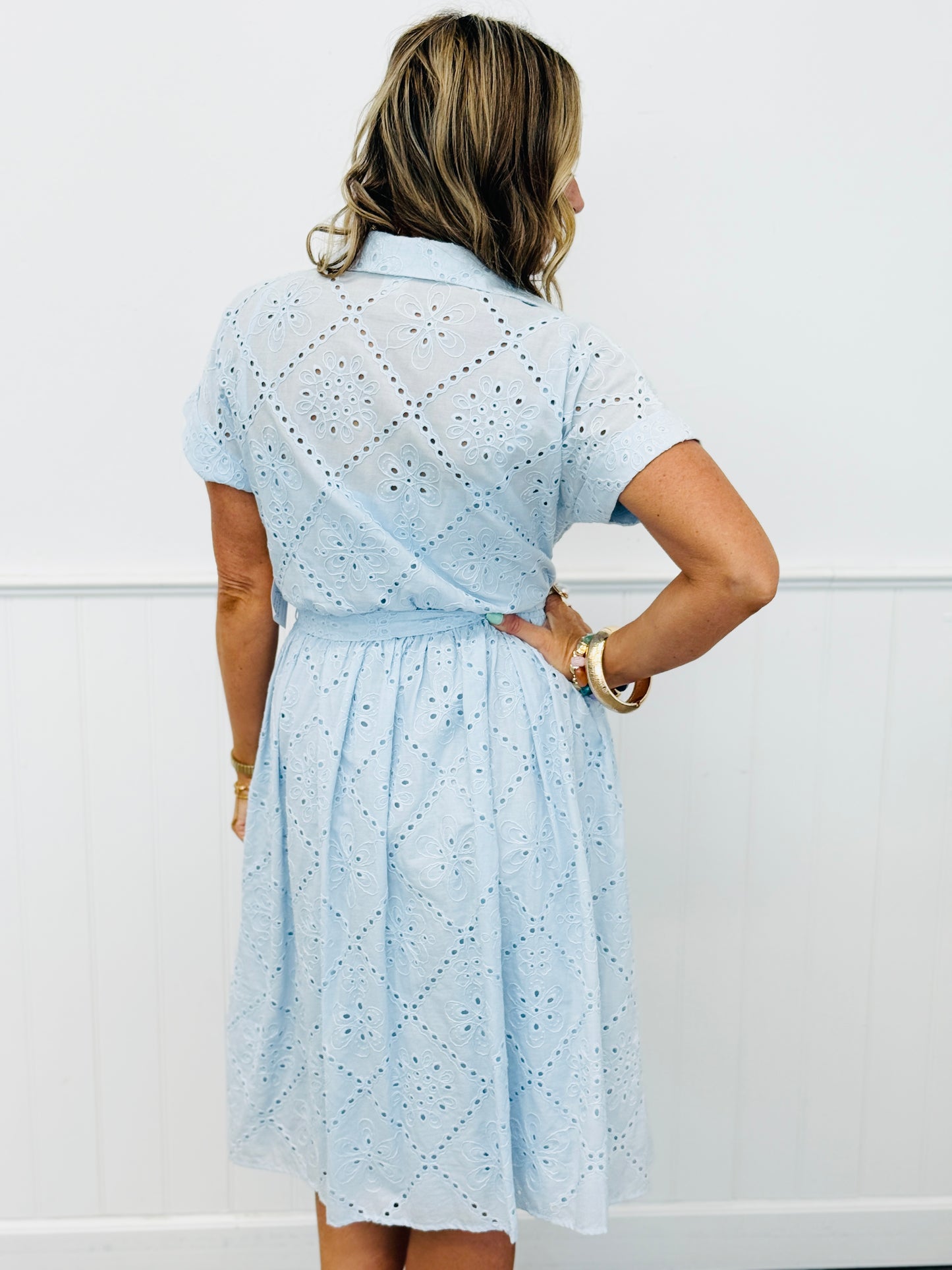 Baby Blue Embroidered Elegant Midi Dress (Reg. & Plus)