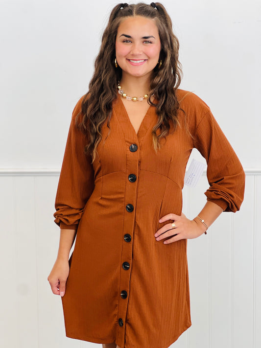 Brown V-Neck Midi Dress (Reg.)