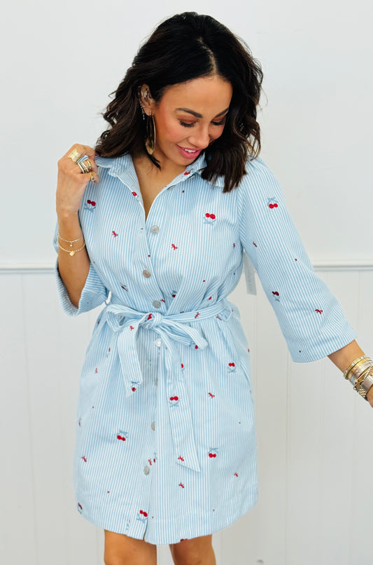 Light Denim Stripe Embroidered Cherry Mini Dress (Reg.)