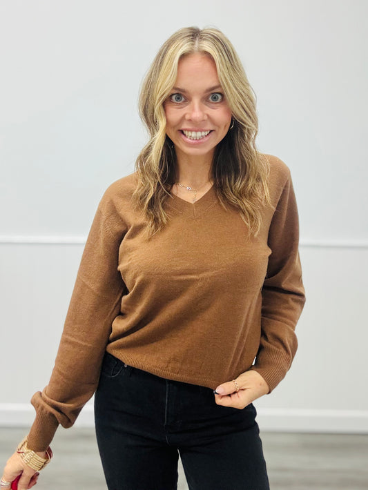 Brown V-Neck Knit Pullover Sweater Top (Reg.)