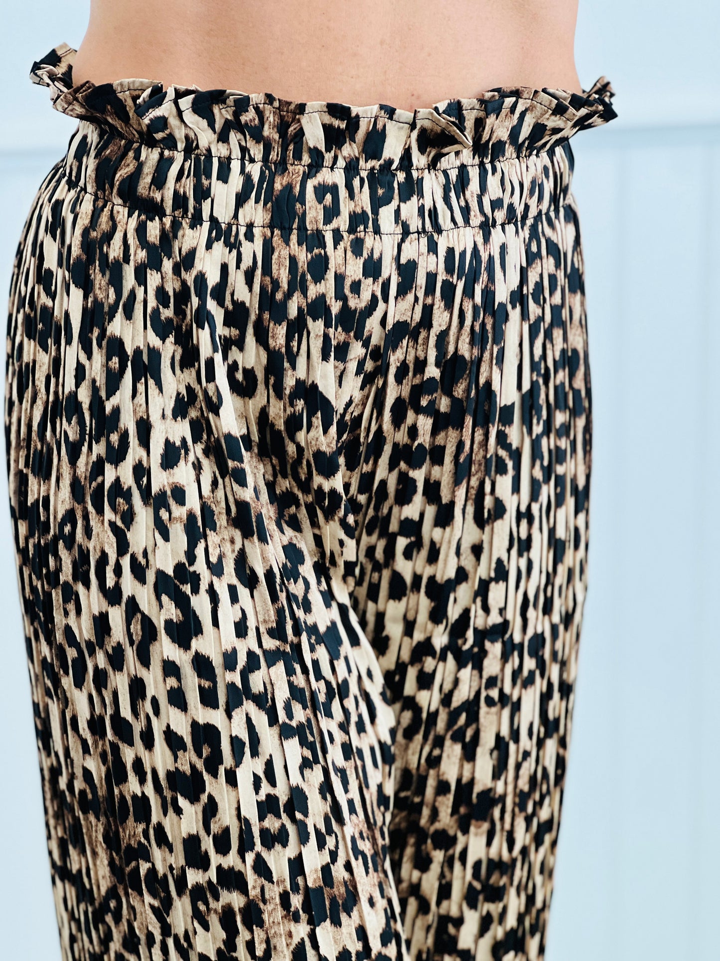 Leopard Print Shirt & Pants Set (Reg & Plus)