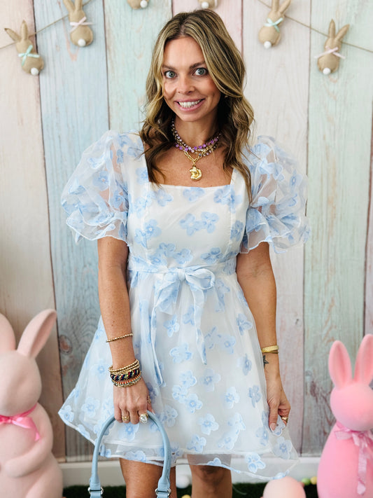 Sky Blue Floral Organza Mini Dress (Reg.)