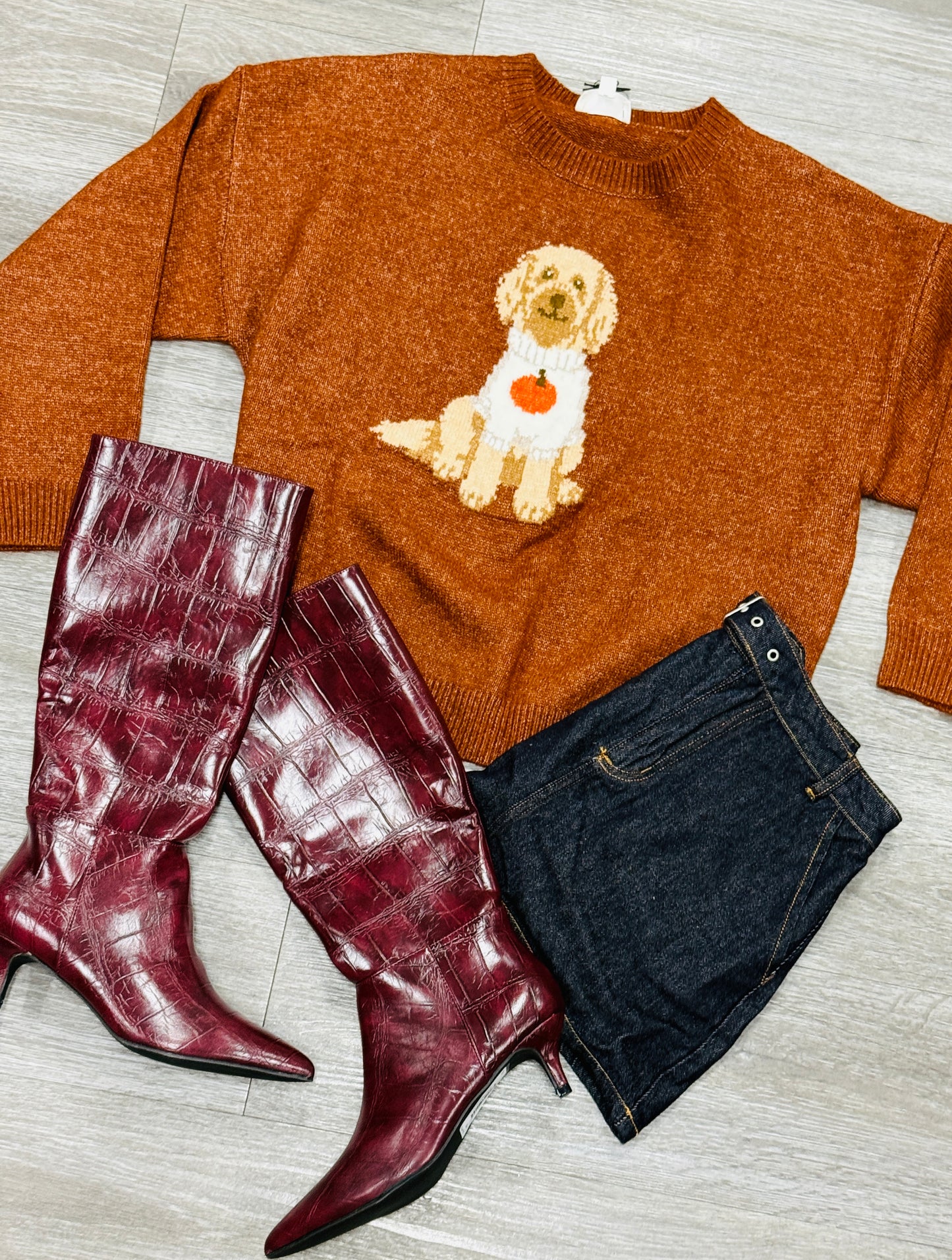 Brown Pumpkin Doodle Dog Graphic Sweater (Reg.)