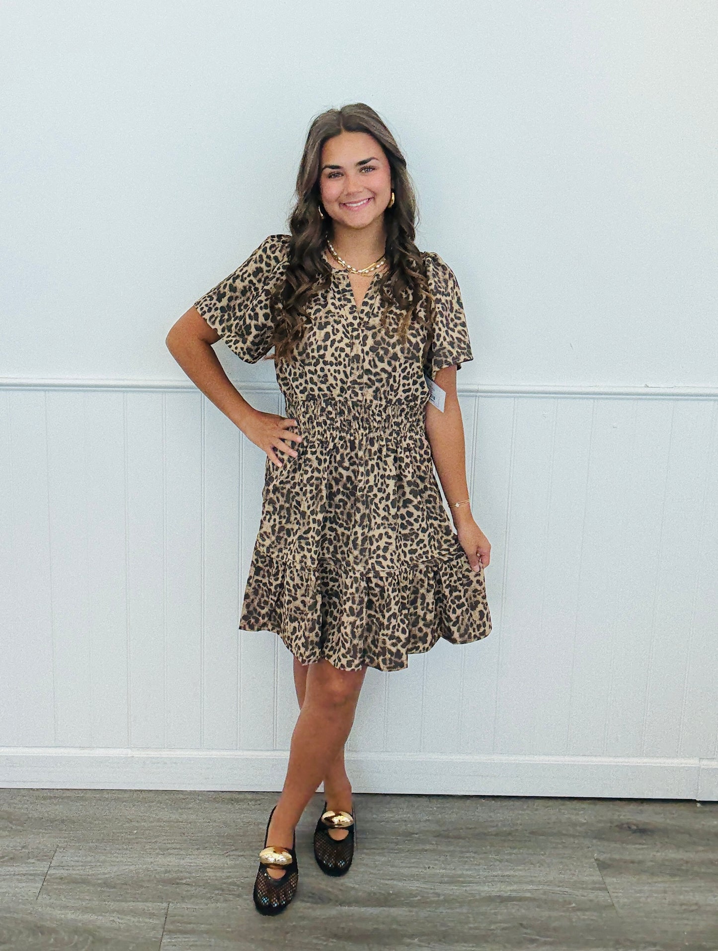 Leopard Deep V-Neck Short Sleeve Mini Dress (Reg. and Plus)
