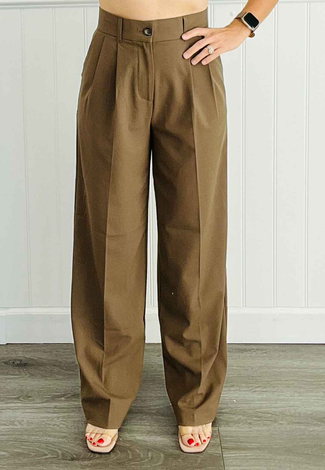 Wide Leg Perfectly Pleated Pants (Reg)-2 Colors