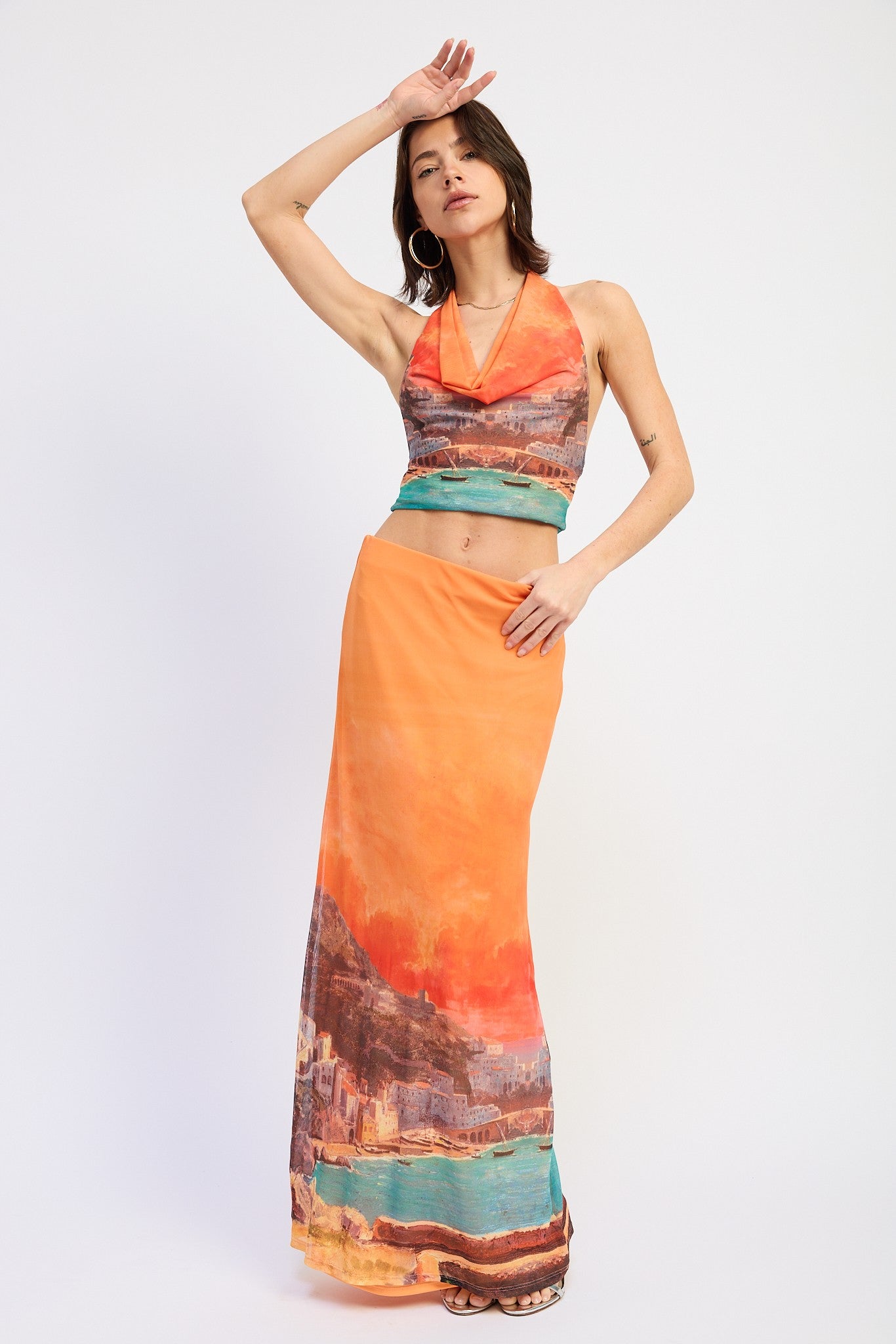 Sunset Landscape Mesh Maxi Skirt (Reg.)