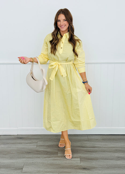 Banana Contrast Panel Midi Shirt Dress (Reg & Plus)