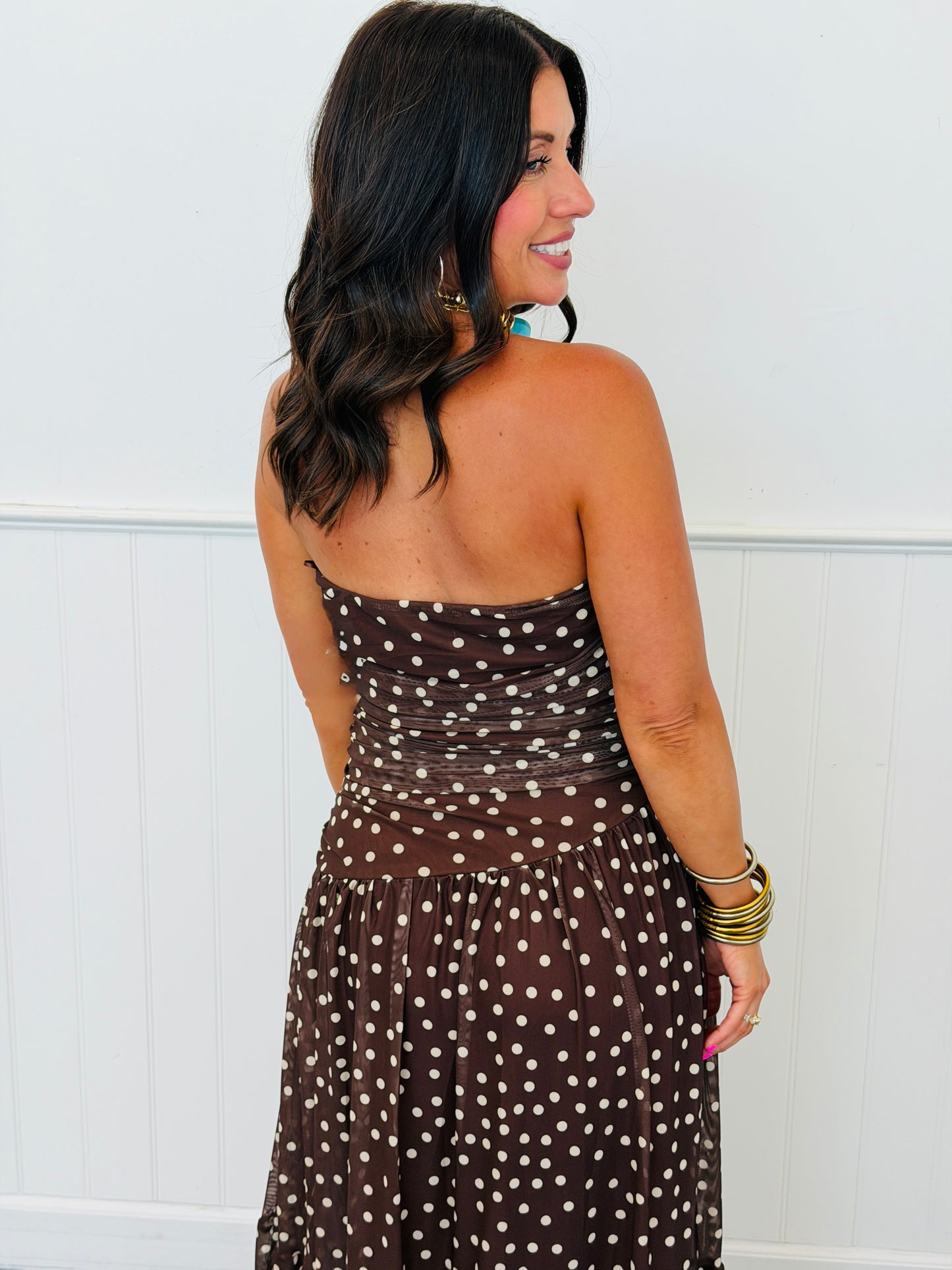 Brown Polka Dot Mesh Maxi Dress (Reg & Plus)