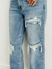 Judy Blue Roxie Retro 90's Jeans (Reg. and Plus)