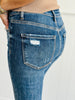 Record Setting Slim Ankle Jeans (Reg & Plus)