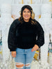 Luxe Velvet Sequin Sleeves Blouse (Reg & Plus)-2 Colors