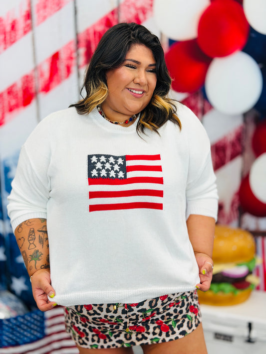 USA Flag Sweater (Reg. and Plus)