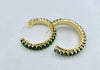 WP - Francesca Hoops