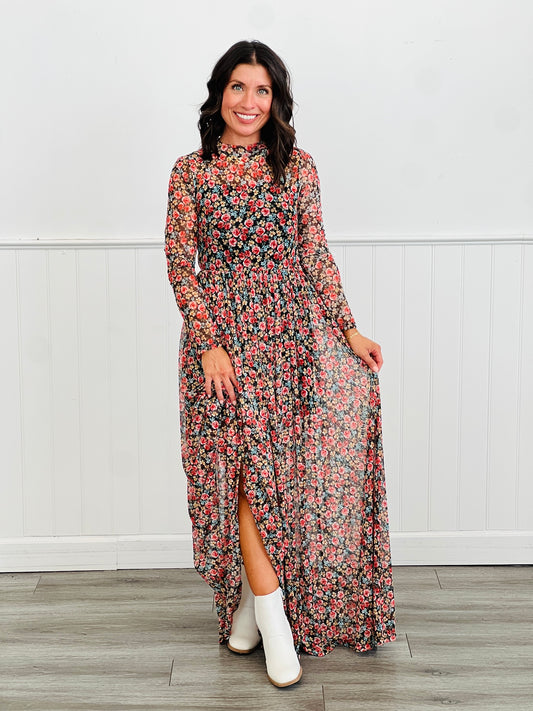 Black Floral Print Mesh Maxi Dress (Reg & Plus)