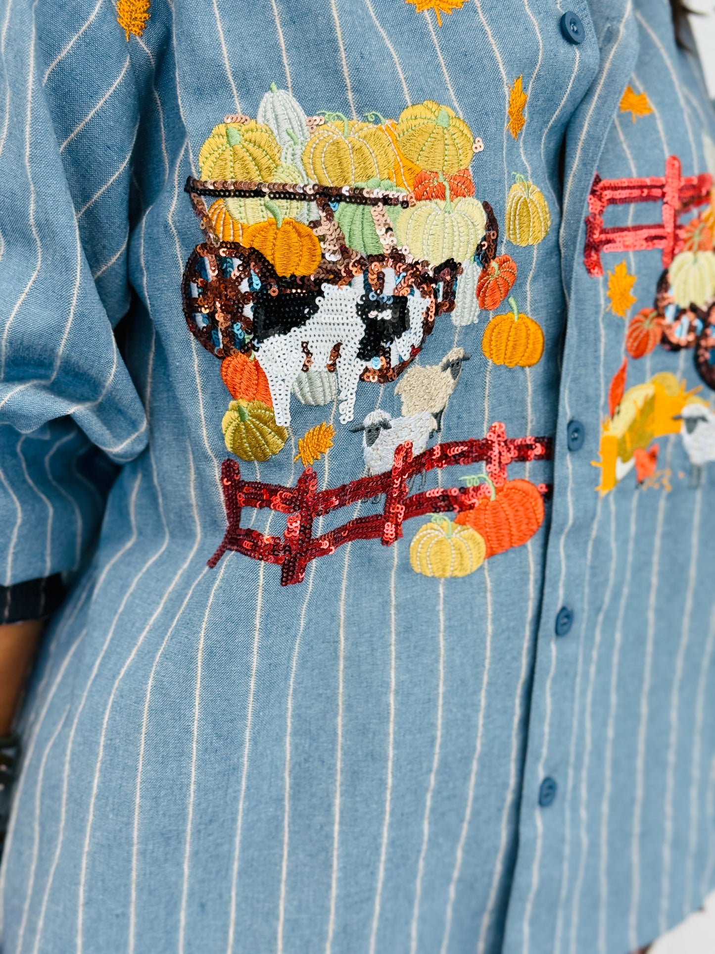 Queen Of Sparkles Denim Striped Pumpkin Farm Button Up Top (Reg. and Plus)