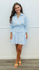 Blue Stripe Pleated Mini Dress (Reg.)