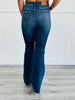 Judy Blue Revolutionary Tummy Control Jeans (Reg & Plus)