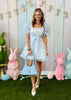 Sky Blue Floral Organza Mini  Dress (Reg.)