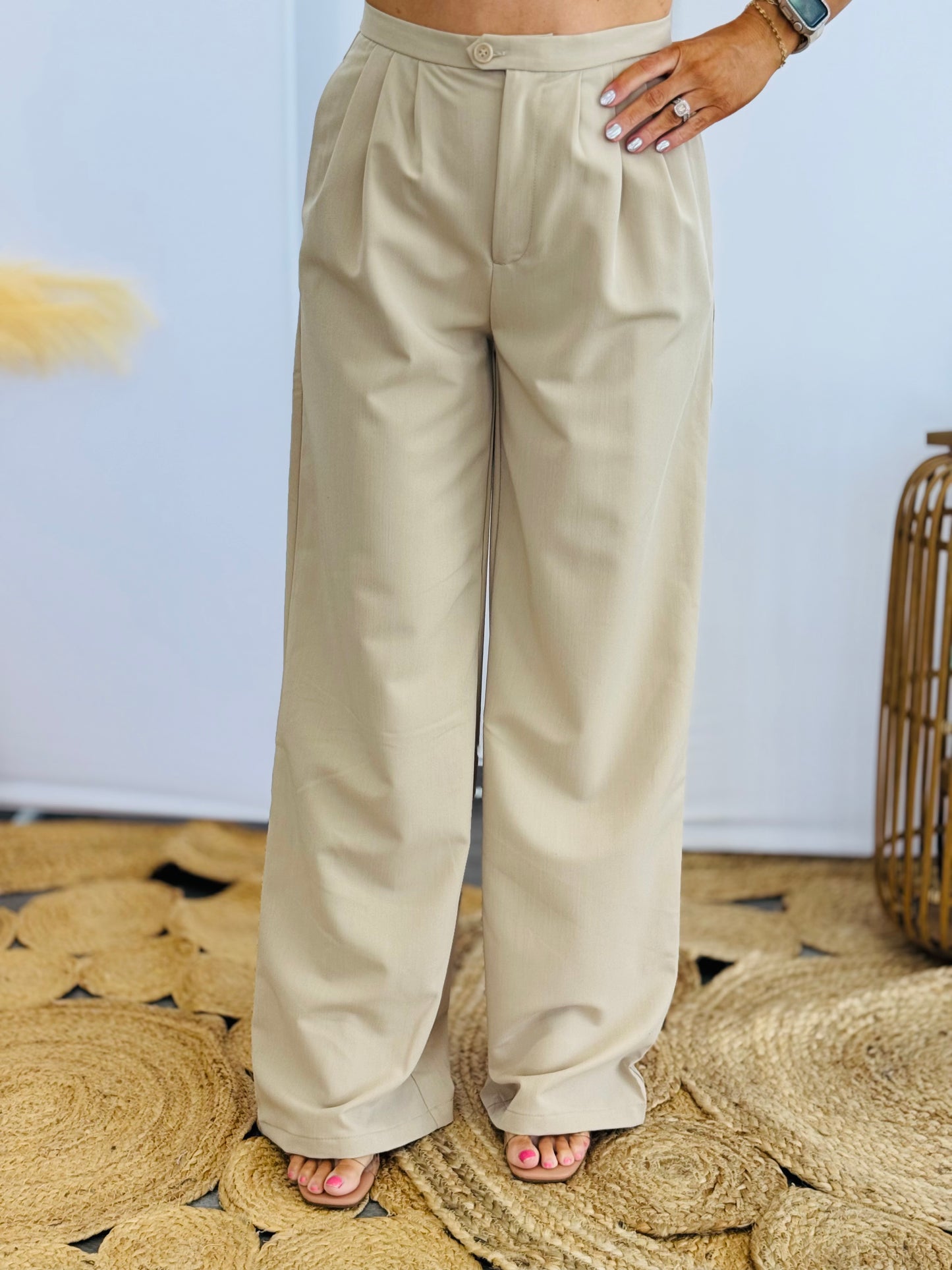 Looking Good Pleated Pants (Reg.)-2 Colors