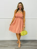 Dusty Salmon Popcorn Smocked Mini Dress (Reg.)