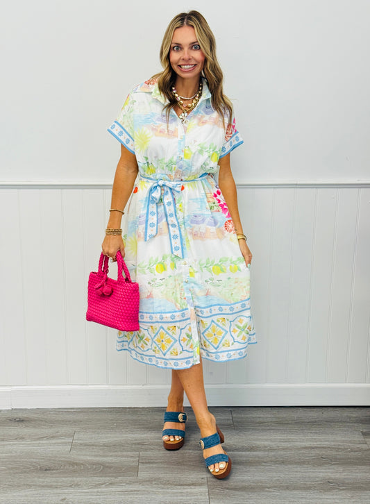 Ivory Multi Scenic Print Midi Shirt Dress (Reg.)