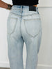 Judy Blue Aspen Arc Leg Jeans (Reg. and Plus)