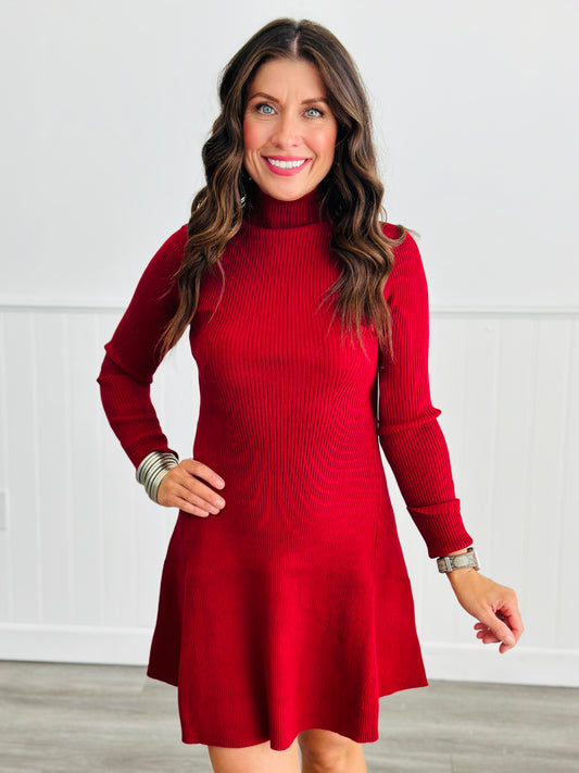 Wine Mock Neck Long Sleeve Flare Mini Dress (Reg.