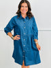 Denim Button Down Heart Mini Dress (Reg. & Plus)