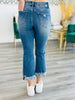 Have It Your Way Distressed Jeans (Reg & Plus)