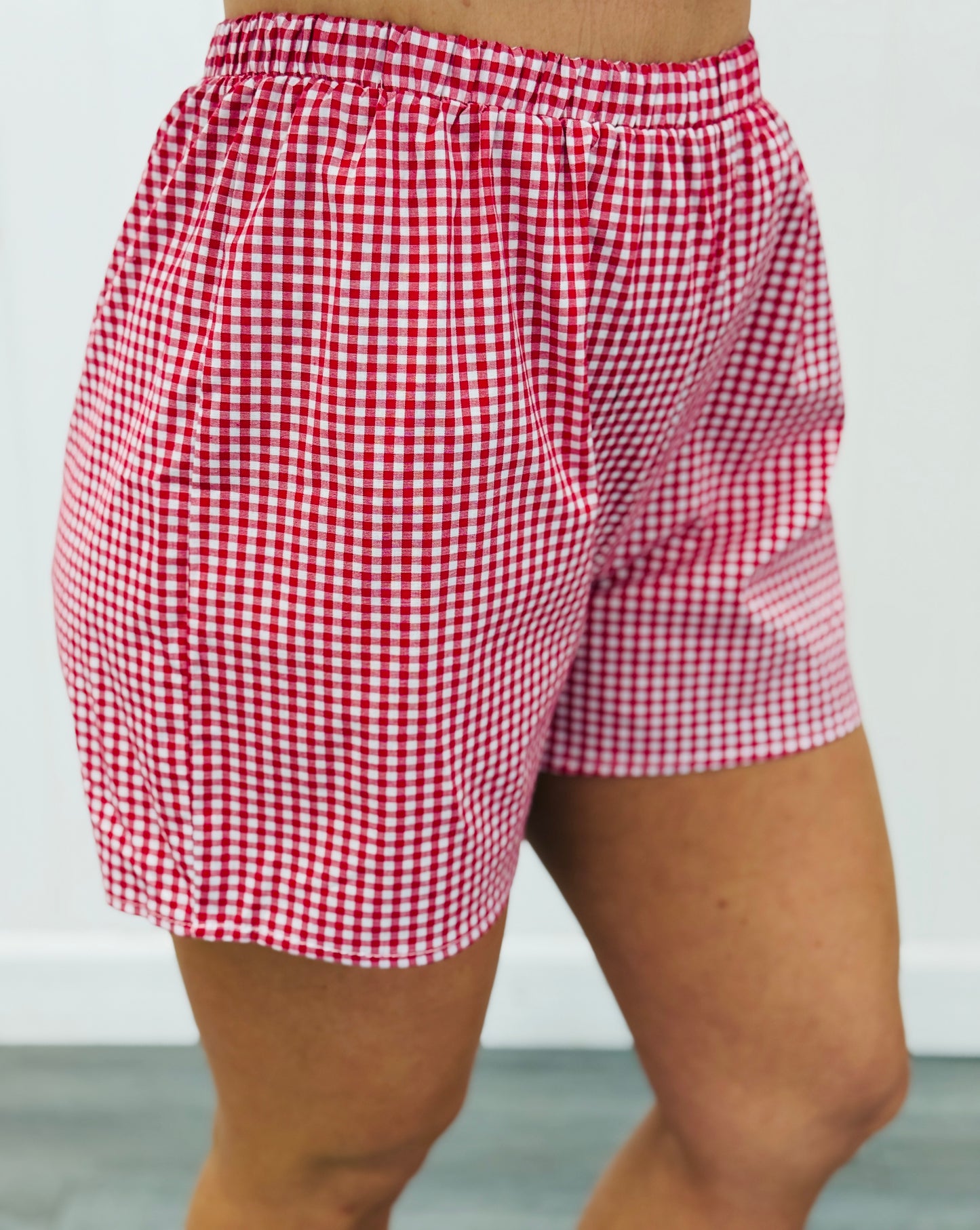 Gingham Elastic Waist Shorts (Reg & Plus)-4 Colors