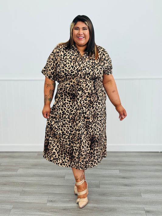Brown Leopard Belted Shirt Dress (Reg & Plus)