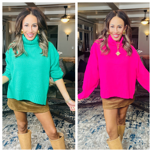 Knit Turtleneck Sweater- 2 Colors