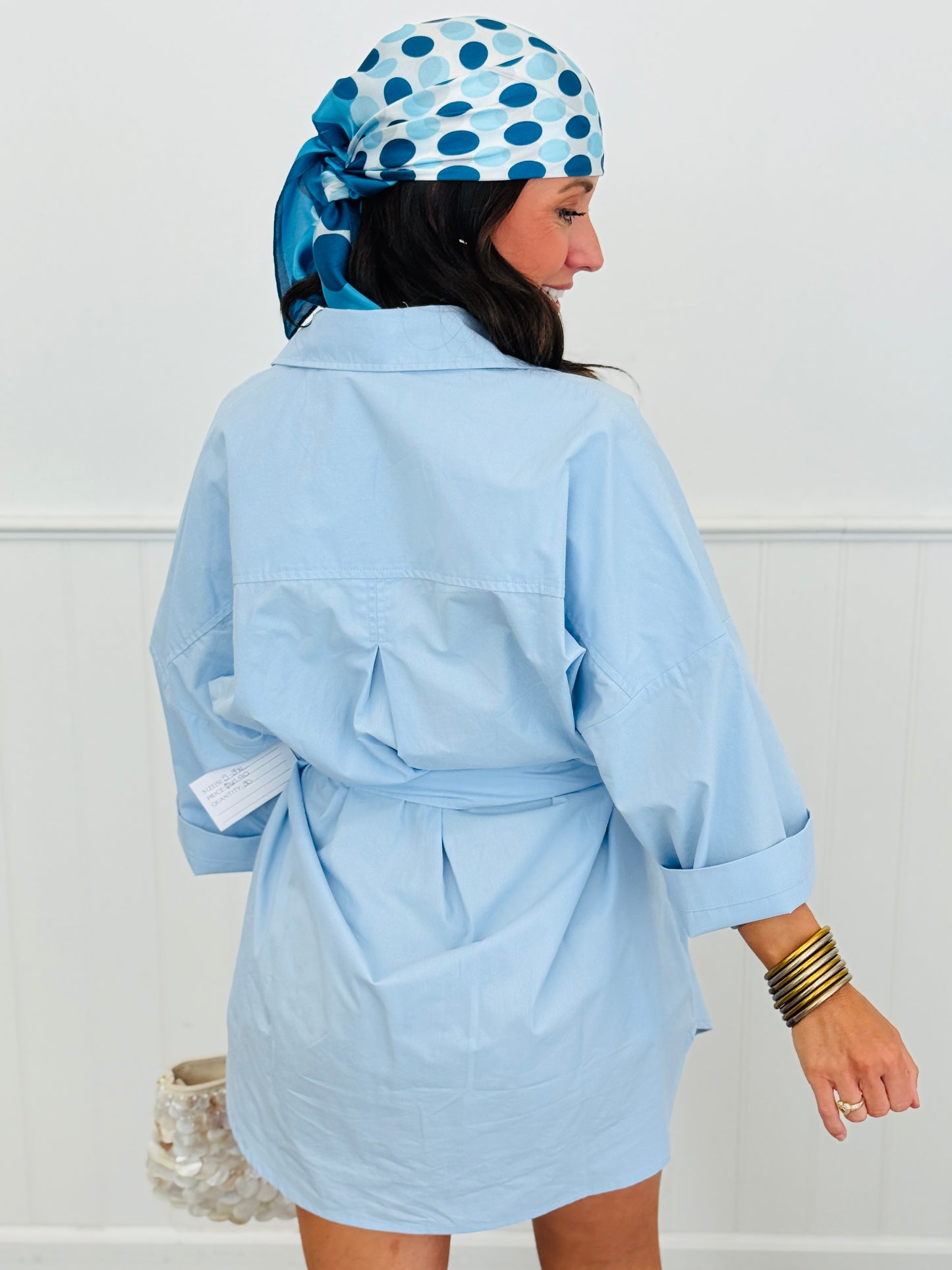 Blue Button Down Mini Shirt Dress (Reg. and Plus)