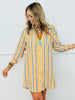 Striped Button Down High Low Shirt Dress (Reg. and Plus)