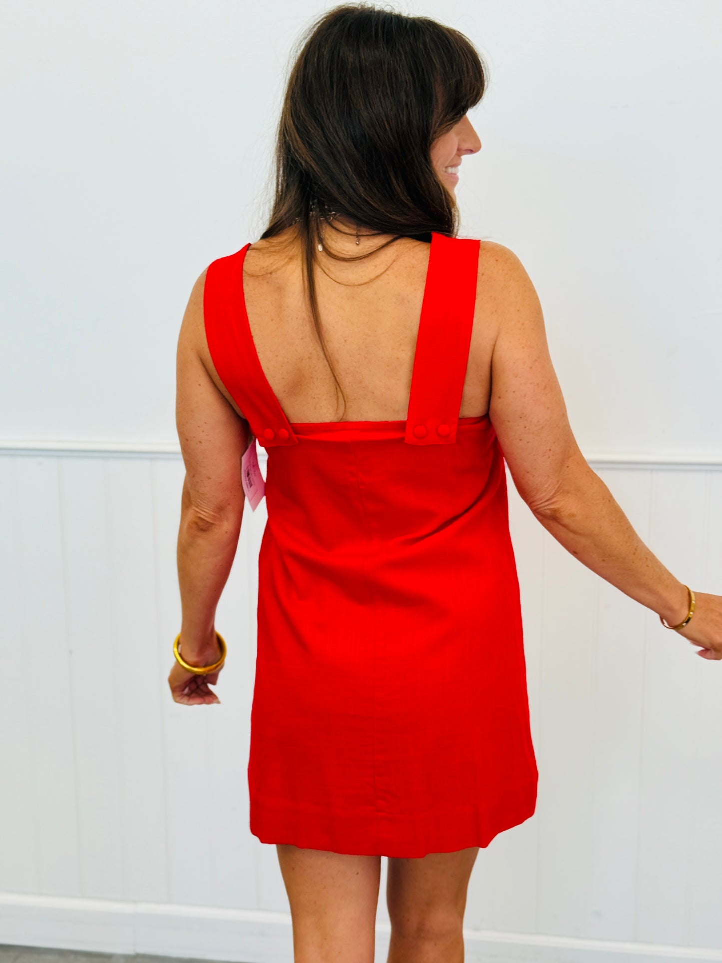 Red Mini Dress (Reg. and Plus)