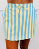Sorrento Stripes Skort (Reg. and Plus)