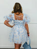 Sky Blue Floral Organza Mini  Dress (Reg.)