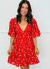 Red Multi Floral V-Neck Mini Dress (Reg.)