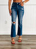 Receptive Kick Flare Jeans (Reg & Plus)