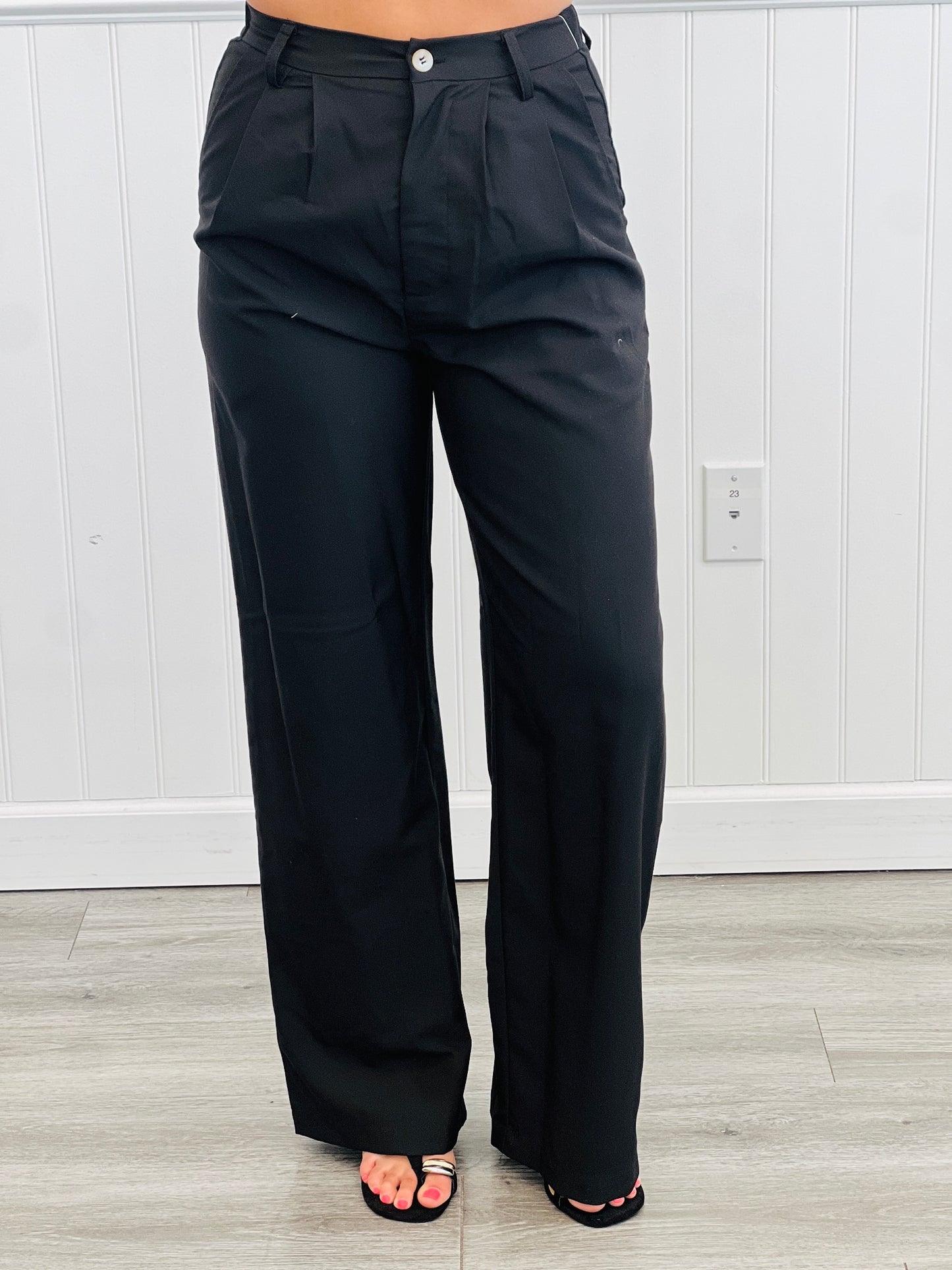 High Waisted Front Pleat Pants (Reg & Plus)