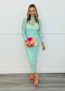 Sage Polka Dot Mesh Maxi Dress (Reg & Plus)
