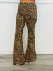 Judy Blue Wild Luxe Mid Rise Flare Jeans (Reg. and Plus)