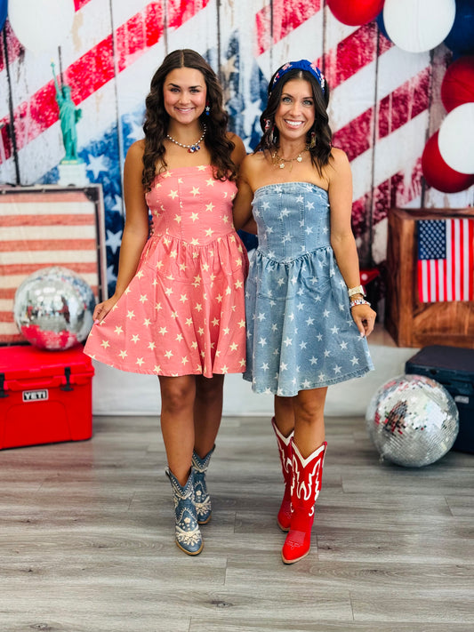 She's A Star Denim Mini Dress (Reg.) - 2 Colors