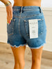 Risen Seaside Sweetheart Frayed Shorts (Reg & Plus)