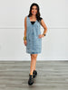 Washed Denim Mini Dress (Reg.)