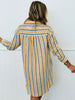 Striped Button Down High Low Shirt Dress (Reg. and Plus)