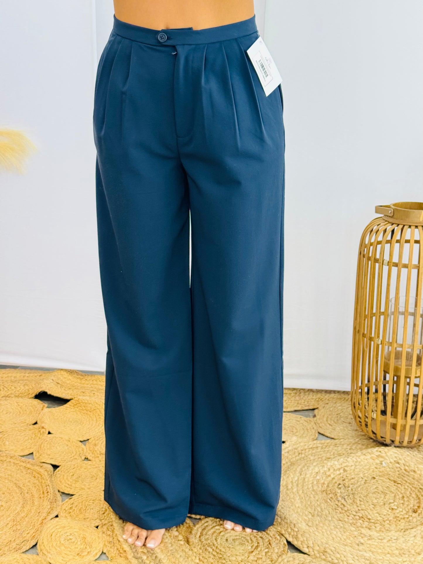 Looking Good Pleated Pants (Reg.)-2 Colors