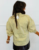 Ivory Citrus Striped Button Down Shirt (Reg & Plus)